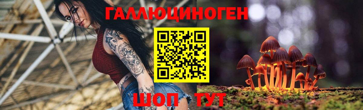 Апатиты  Галлюциногенные грибы Magic Shrooms  Вход с VPN 
