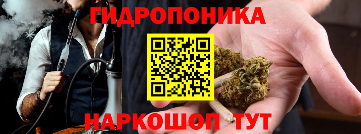 Шишки марихуана Bruce Banner  Вход с VPN  Апатиты  Бошки марихуана марихуана  Бошки Шишки сатива 